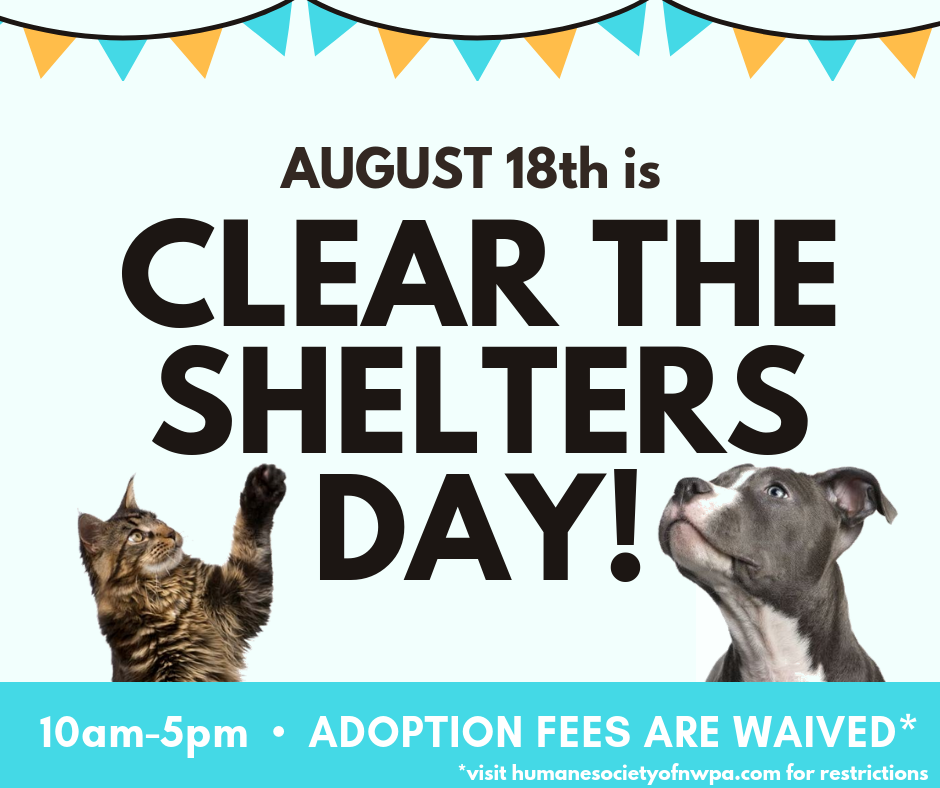 Clear the Shelter Day Social Media Ad